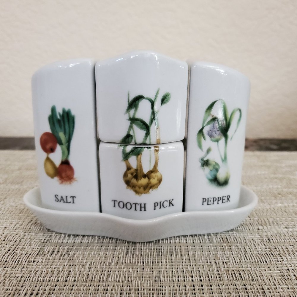 Salt and Pepper Shaker and Tooth Pick Container